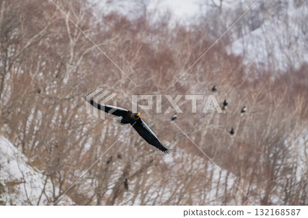 Shiretoko winter 132168587