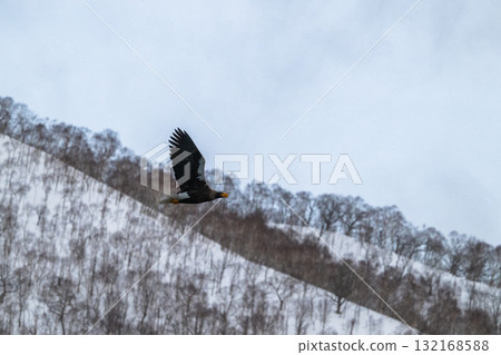 Shiretoko winter 132168588