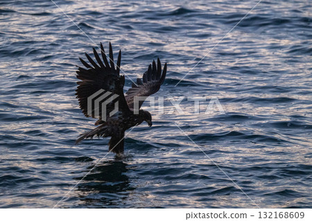 知床冬天 132168609