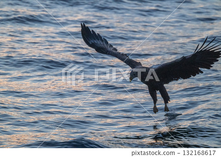 知床冬天 132168617