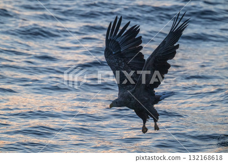 Shiretoko winter 132168618