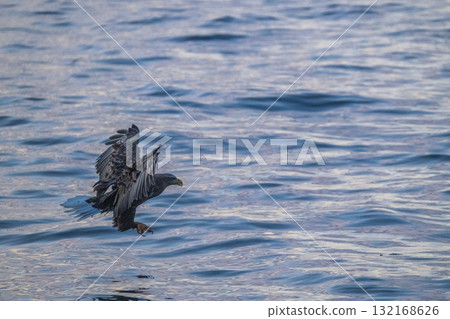 知床冬天 132168626