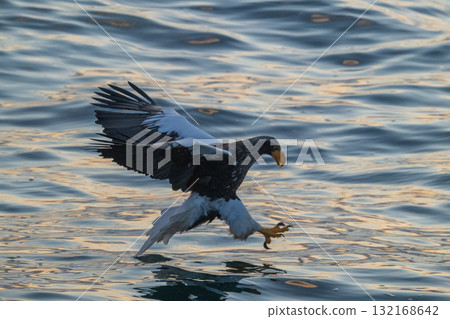 Shiretoko winter 132168642