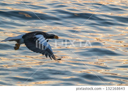 Shiretoko winter 132168643