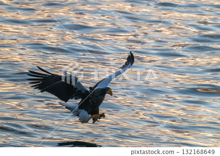 Shiretoko winter 132168649