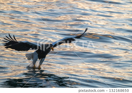 知床冬天 知床冬天 132168650