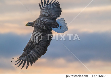 知床冬天 132168668