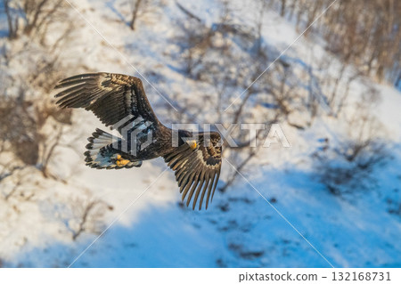 Shiretoko winter Shiretoko winter 132168731