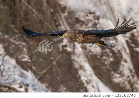 知床冬天 132168748