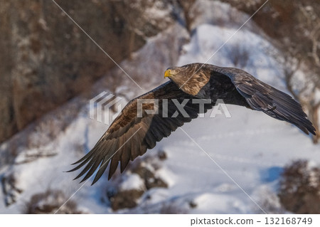 Shiretoko winter 132168749