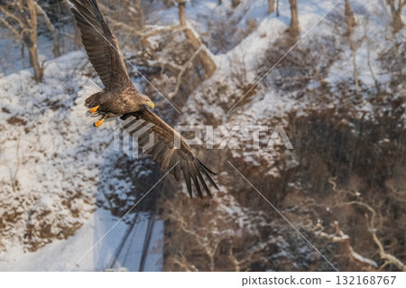 知床冬天 132168767