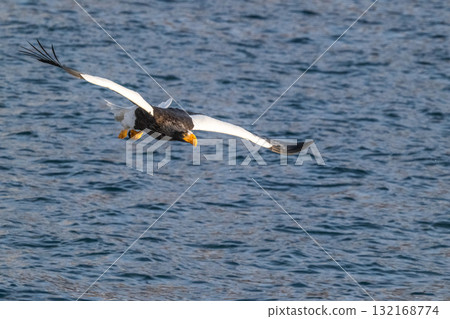 知床冬天 132168774