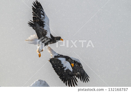 Shiretoko winter 132168787