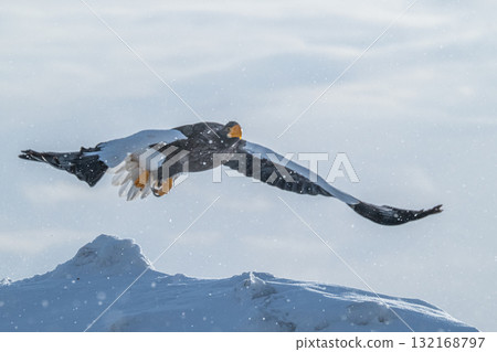 Shiretoko winter 132168797