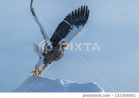 Shiretoko winter 132168801