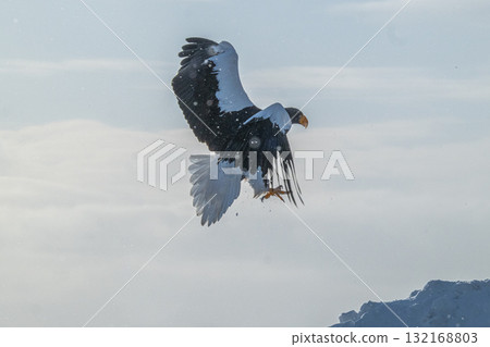 Shiretoko winter 132168803