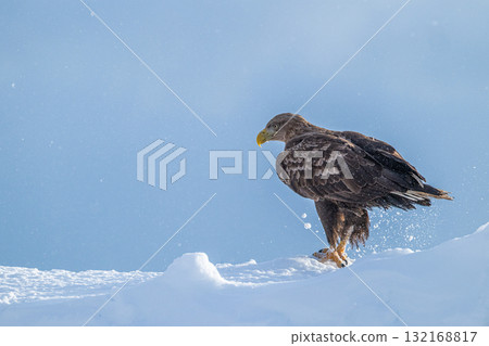 知床冬天 132168817