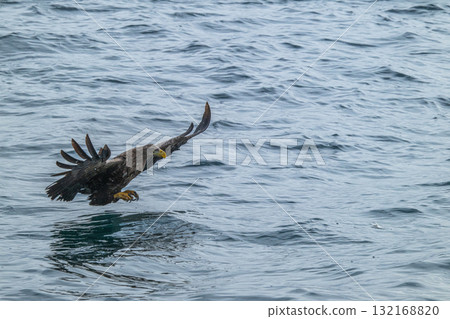 知床冬天 知床冬天 132168820