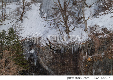 Shiretoko winter Shiretoko winter 132168826