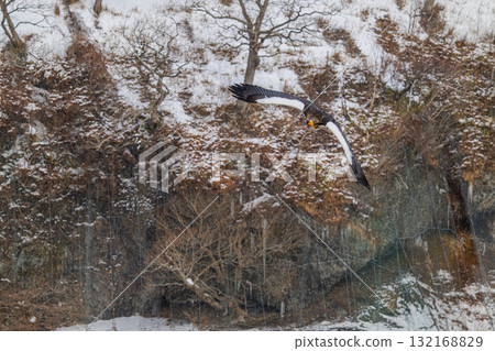 Shiretoko winter Shiretoko winter 132168829