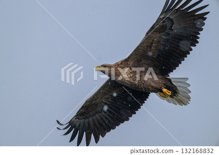 Shiretoko winter 132168832