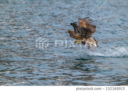 知床冬天 132168915