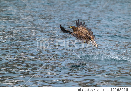 知床冬天 132168916