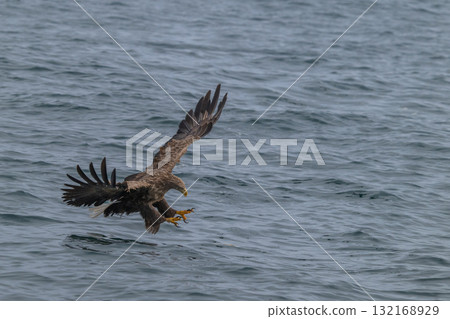 Shiretoko winter 132168929