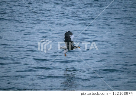 Shiretoko winter Shiretoko winter 132168974