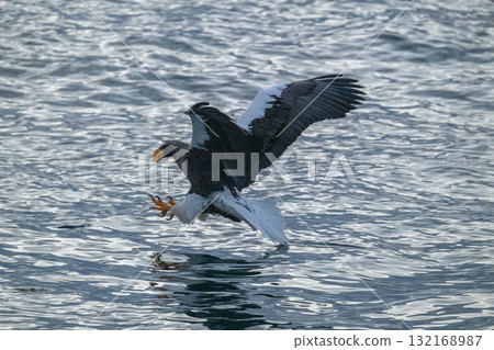 Shiretoko winter 132168987