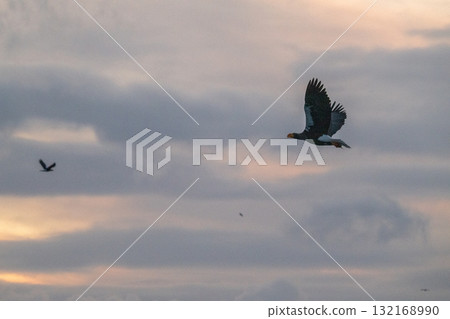 Shiretoko winter 132168990