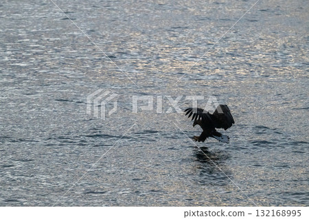 知床冬天 132168995