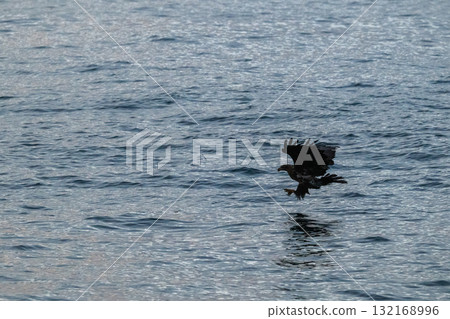 知床冬天 132168996