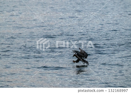 知床冬天 132168997