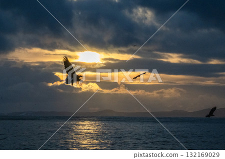 Shiretoko winter Shiretoko winter 132169029