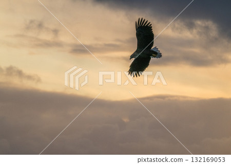 Shiretoko winter Shiretoko winter 132169053