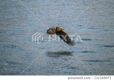 Shiretoko winter Shiretoko winter 132169071