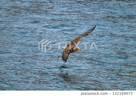 Shiretoko winter Shiretoko winter 132169073