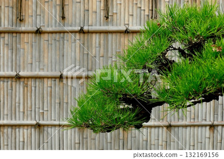 竹籬笆和松樹盆景、松竹吉祥物、新年材料 132169156