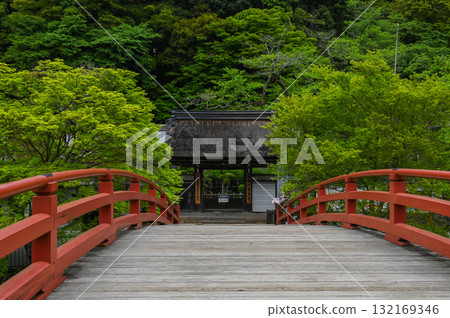 Muroji Temple - An ancient temple for women in Koya 132169346