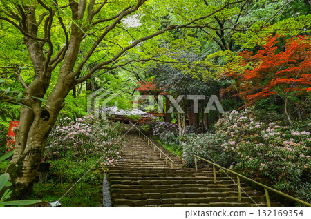 室生寺 - 高野的古老女性寺廟 室生寺 - 高野的古老女性寺廟 132169354