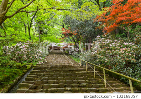 室生寺 - 高野的古老女性寺廟 132169357