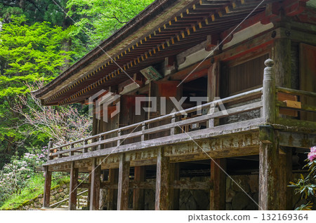 Muroji Temple - An ancient temple for women in Koya Muroji Temple - An ancient temple for women in Koya 132169364