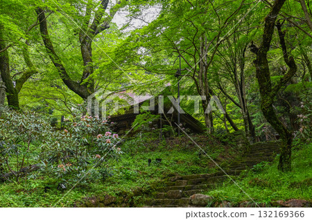 Muroji Temple - An ancient temple for women in Koya 132169366