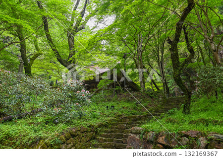 Muroji Temple - An ancient temple for women in Koya Muroji Temple - An ancient temple for women in Koya 132169367