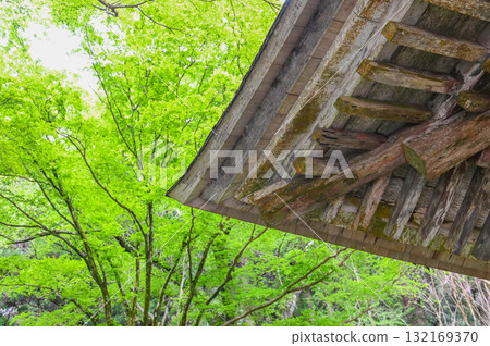 Muroji Temple - An ancient temple for women in Koya Muroji Temple - An ancient temple for women in Koya 132169370