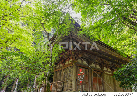 Muroji Temple - An ancient temple for women in Koya 132169374