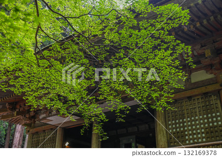 Muroji Temple - An ancient temple for women in Koya 132169378