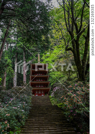 Muroji Temple - An ancient temple for women in Koya Muroji Temple - An ancient temple for women in Koya 132169385