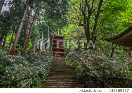 Muroji Temple - An ancient temple for women in Koya Muroji Temple - An ancient temple for women in Koya 132169387